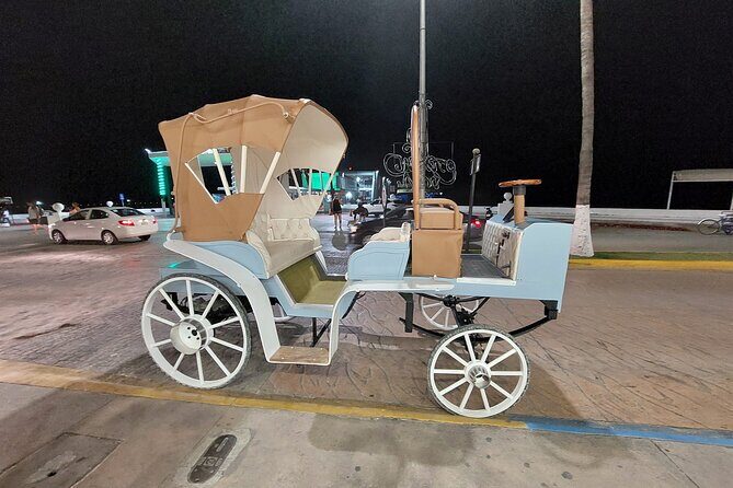 Cozumel's Heart Electric and Horse-drawn Carriage Tour - Who Will Love This Tour?