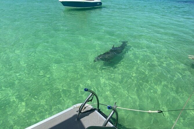 Crab Island Party!! Lily Pad, Paddleboard, Speaker & Cooler - The Reviews: What Travelers Say