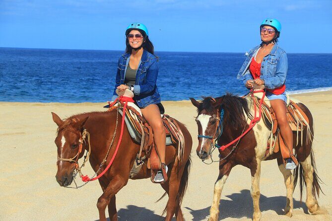 Create your COMBO: Choose 2 of the Best Tours in CABO - The safety and logistics