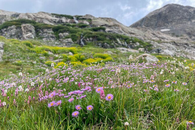 Crested Butte via Cottonwood Pass Private Colorado Adventure Tour - Who Will Love This Tour?
