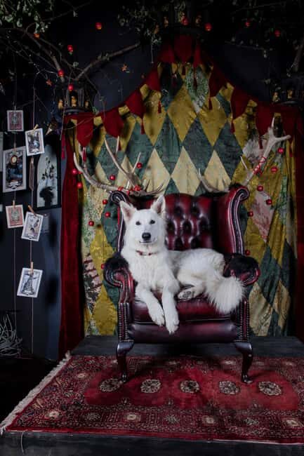 Croatia: Museum of Lost Tales - Who Will Love This Experience?