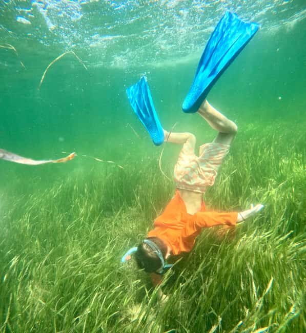 Crystal River: All Inclusive Premier Scalloping Tour - The Value of This Experience