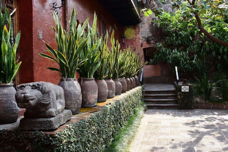 Cuernavaca: Museo Robert Brady Entrance Tickets - What You Can Expect