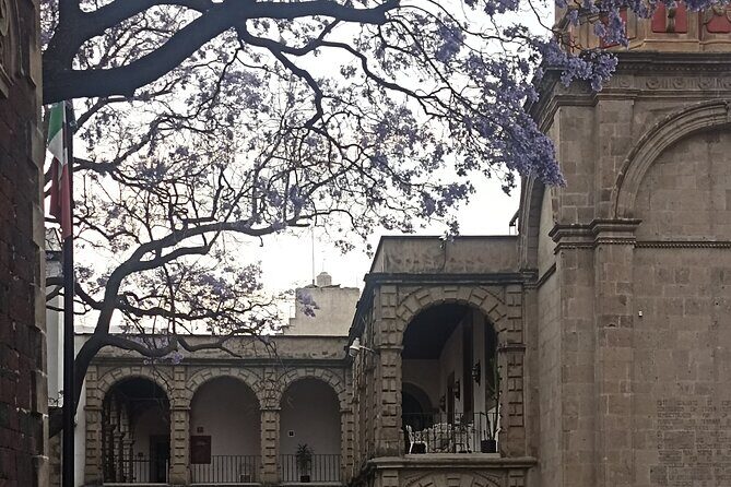Curious and original Tour in the Historic Center of CDMX - Practical Considerations