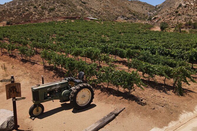 Customizable Guadalupe Wine Valley Tour - Who Should Consider This Tour?