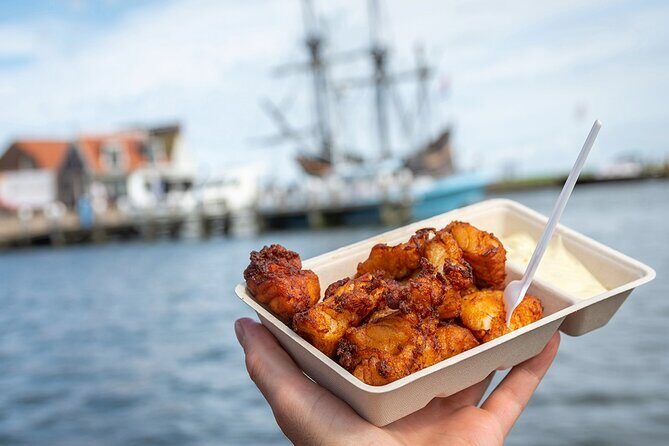 Customized Private Tour in Tesla to Zaandam, Windmills & Volendam - An In-Depth Look at the Tour Experience