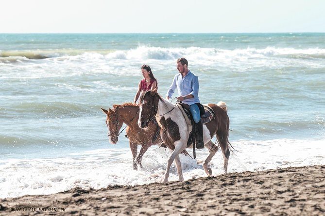 Daily Animals Lovers : Horseback ride with meals & wine included - Practical Considerations