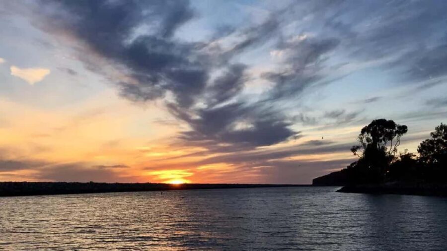 Dana Point: Evening Harbor Wine Cruise with snacks - The Wines and Snacks