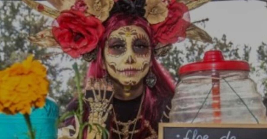 Day of the Dead in Mexico City: Mexican dinner and party in Xochimilco - Why This Tour Works