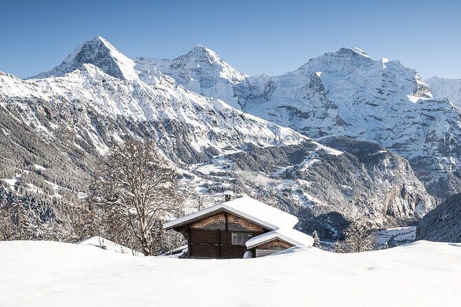 Day Sledding in Interlaken - Who Will Love This Tour?
