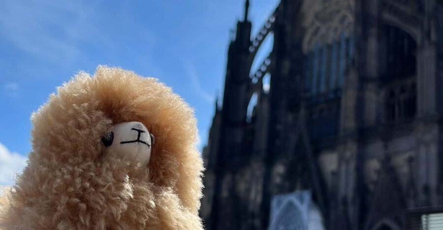 Day tour Aachen & Cologne from Brussels - The Aachen Experience: A City of Emperor Charlemagne