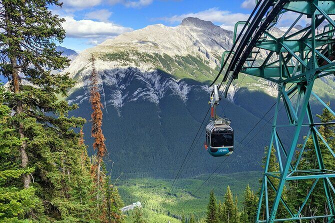 Day Tour to Banff Gondola Johnston Canyon Hiking Cave Basin - What Makes This Tour Stand Out?