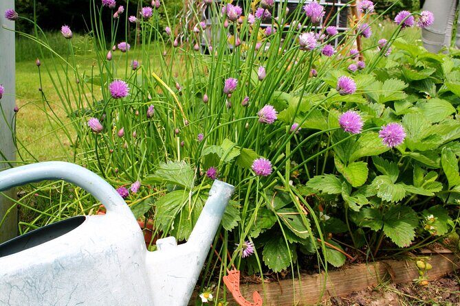 Day Trip from Paris - French Food, Rural Experiences & Horses! - The Detailed Experience: What to Expect