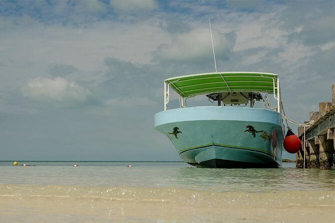 Day Trip to Isla Contoy - Starting Point and Logistics