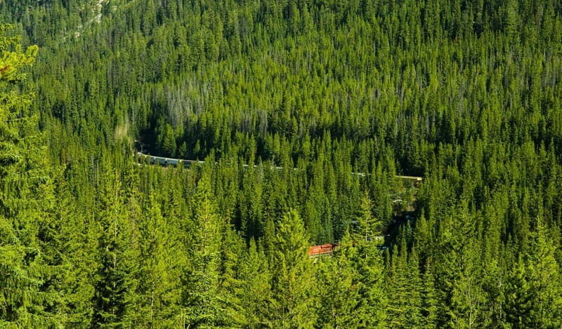 Deep Day Tour to Emerald, Moraine, Louise Lake, J. Canyon... - Why This Tour Offers Great Value