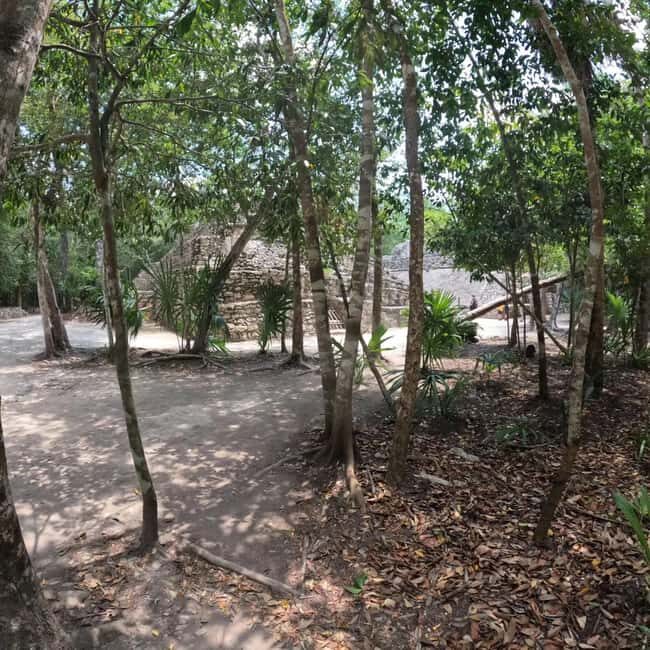 Deluxe Tulum, Coba & 5th Avenue from Cancun - What Makes This Tour Stand Out?