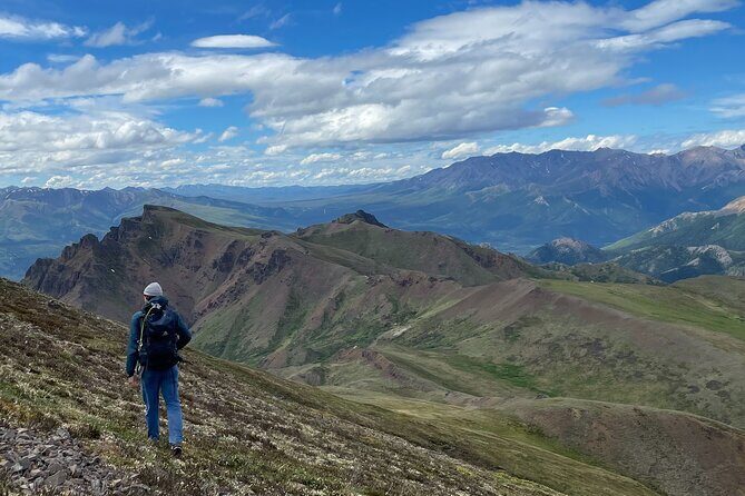 Denali 4 Hour Hiking Adventure with Naturalist Guide - Who Should Consider This Tour?