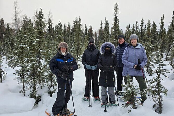 Denali National Park plus Aurora Chase Tour - The Sum Up