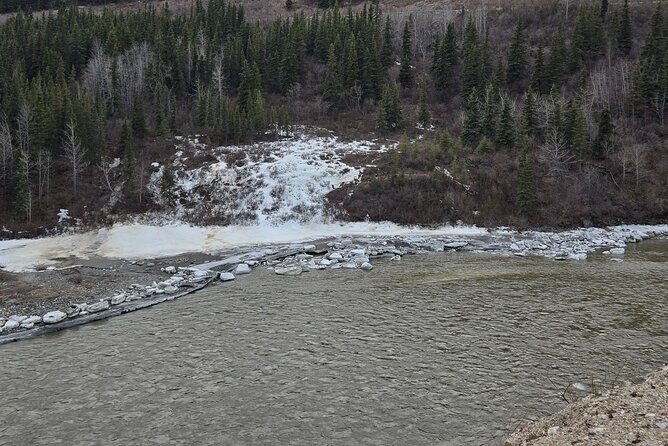 Denali National Park Shuttle - Practical Considerations