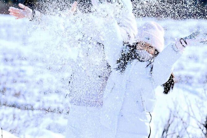 Denali Summer Winter Trial Shuttle with Professional Camera - Exploring Denali National Park