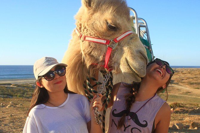 Desert & sea, Camel Safari tour in Los Cabos with lunch - Practical Details That Matter