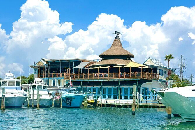 Destin Harbor Boat Ride and Dolphin Watching on the Hopper - What Makes This Tour Stand Out