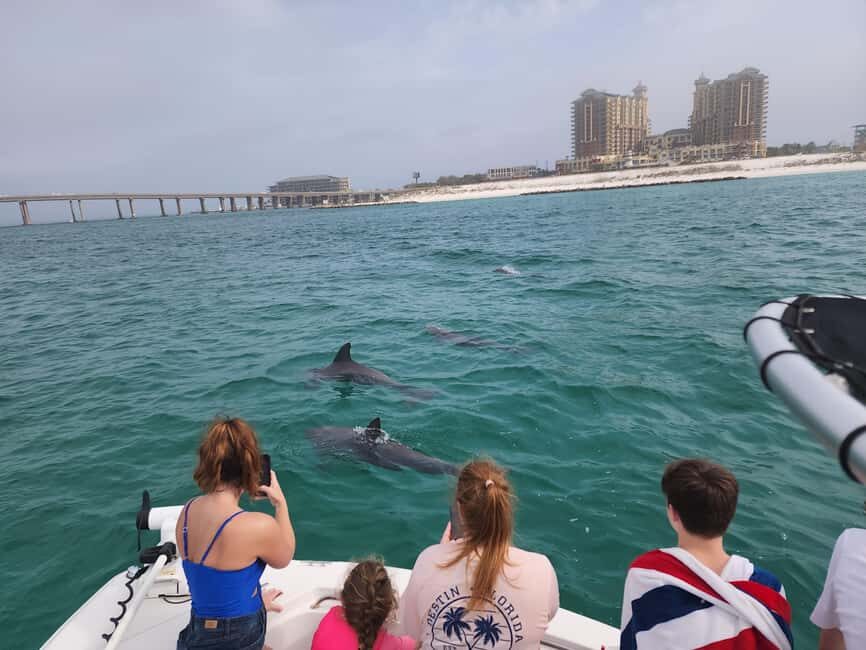 Destin: Private Morning Dolphin Cruise - A Closer Look at the Experience