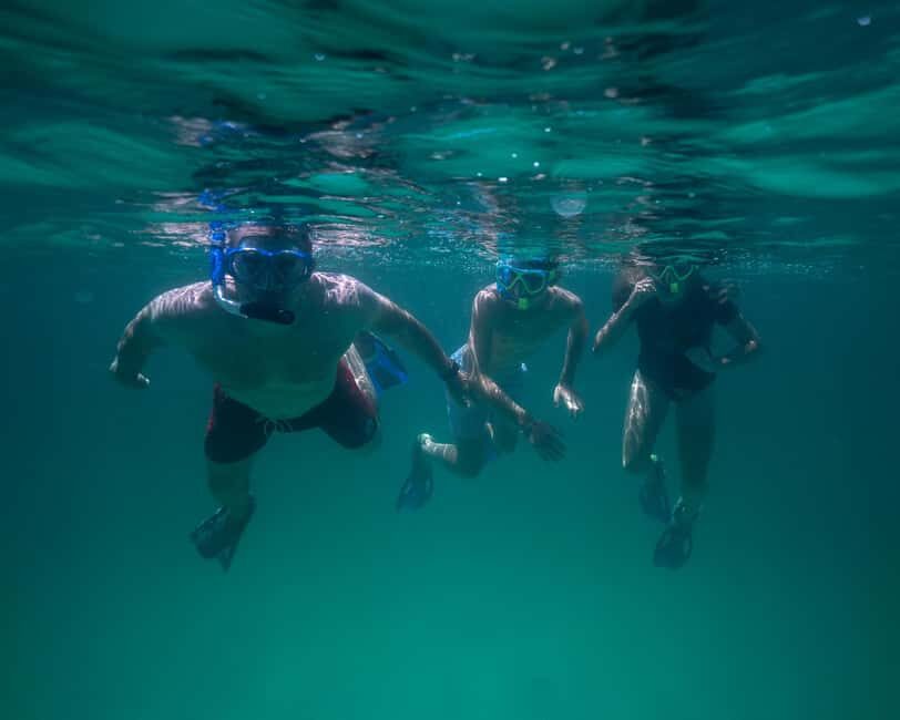 Destin: Reef Snorkeling Adventure - The Practical Side: Pricing, Group Size, and What You Get