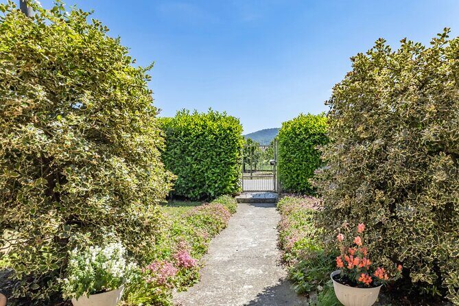 Dining Experience with cooking demo in Pavia at a local's Home - Frequently Asked Questions (FAQs)