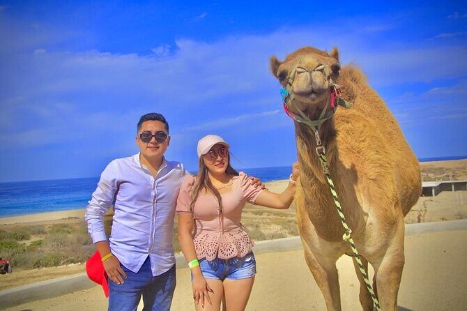 Discover Cabo San Lucas by camel ride - Authenticity and the Value for Money