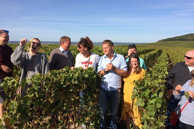 Discover Champagne in half a day in a Van - The Sum Up: Why This Tour is Worth Considering