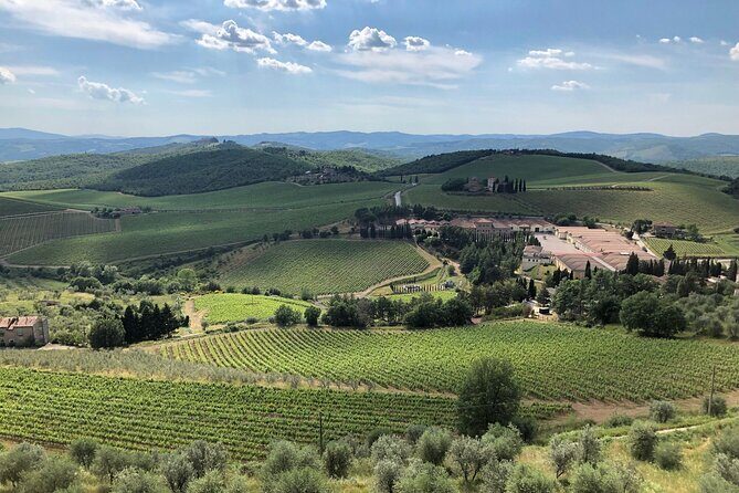 Discover Chianti Classico Wines DiWine Experience - The Value of the Experience