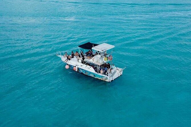 Discover Cozumel's Reef: Glass-bottom Boat Snorkeling Adventure - What You Can Expect at Each Stop