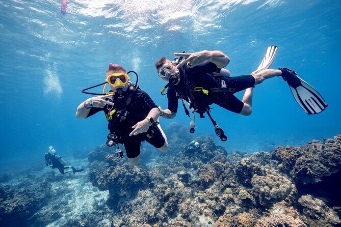 Discover Diving in the Reefs of Cozumel - Real Experiences and Authentic Feedback