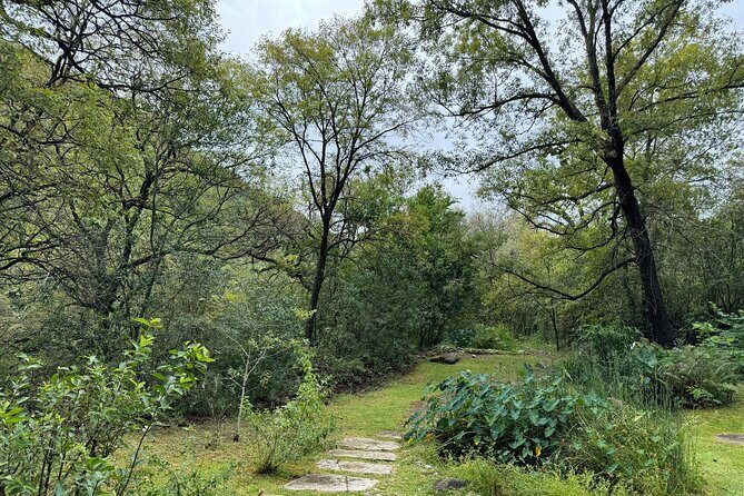 Discover Estanzuela Natural Park - Who Will Love This Tour?