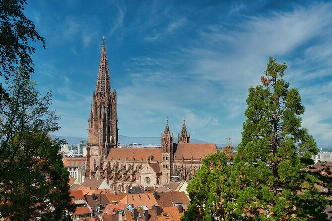 Discover Freiburg Private Walking Tour - Value and Practicality