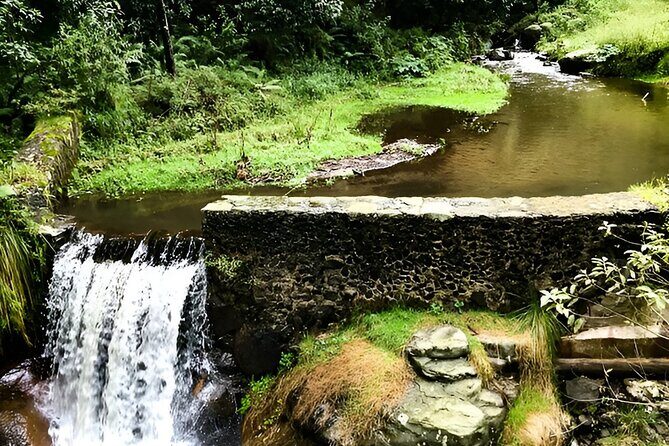 Discover Hiking Trails and a Convent in Desierto de los Leones - Structuring Your Day