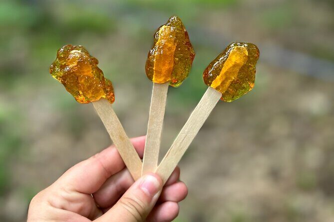 Discover Maple Sugar Bush Tour - Frequently Asked Questions