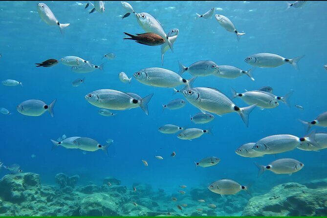 Discover SCUBA Diving with Pissouri Bay Divers - The Practical Side: Logistics and Value