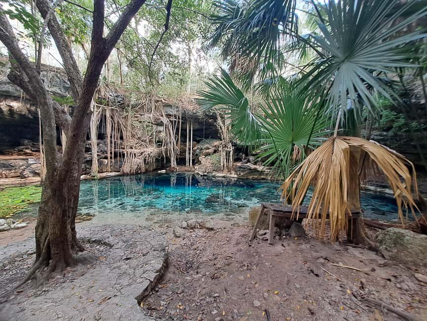 Discover the Serenity: A Tour of the Hidden Cenotes (PVT) - Why This Tour Offers Real Value