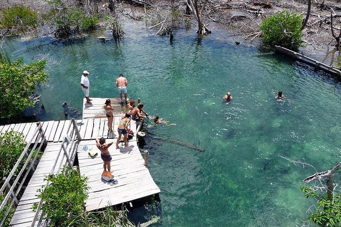Discover the Wonders of Holbox, Cenote and Passion Island. Transport included - What You’ll Love About This Tour
