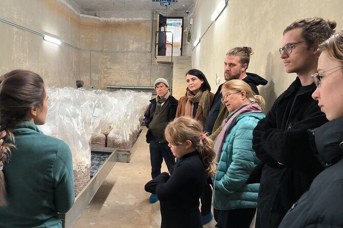 Discover the World of Mushrooms - FAQ