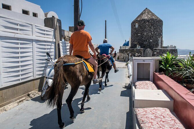 Discovering Santorini : A 3-Hour Private Highlights Tour - Who Should Book This Tour?