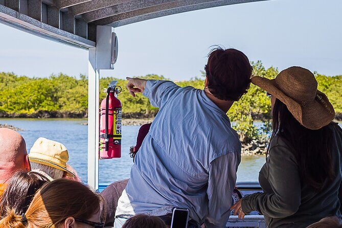 Discovery Dolphin Boat Tour - An In-Depth Look at the Discovery Dolphin Boat Tour
