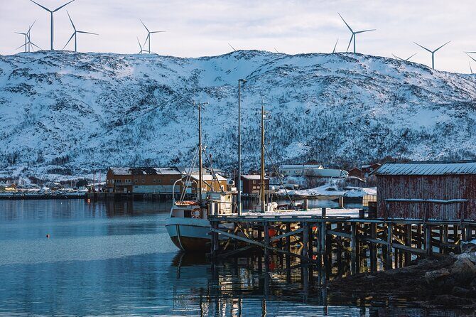 Discovery tour of the island of Senja and Kvaløya from Tromsø - Who Should Consider This Tour?
