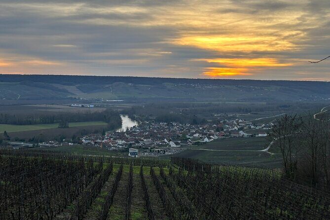 Discovery Tour Reims and Epernay - Who Should Consider This Tour?