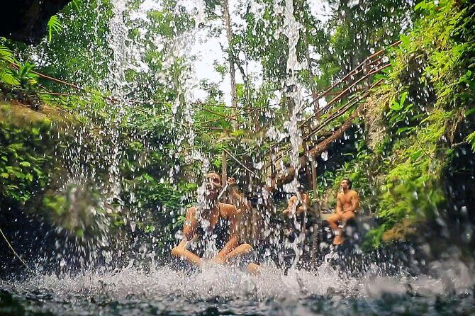 Dive Into Paradise: Cenote Tour - The Itinerary: What Can You Expect?