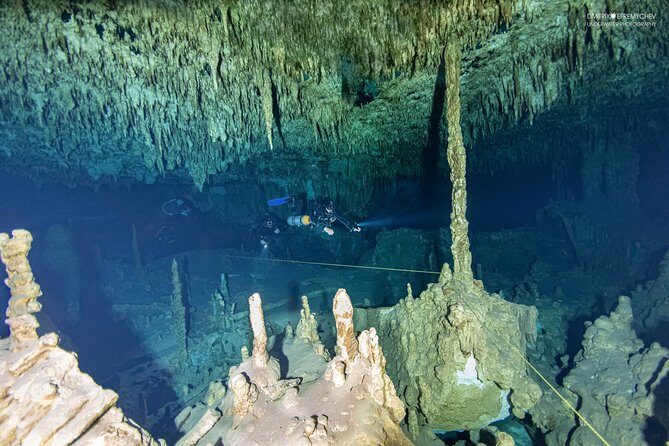 Diving package Cenotes exploration - Pricing and Value