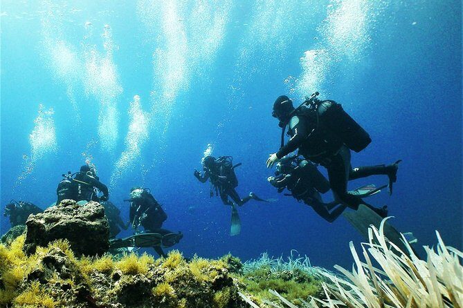 Diving with PADI 5 Star CDC Diving Resort Isola Bella Marine Park Taormina - The Itinerary: What to Expect on Your Day at Sea