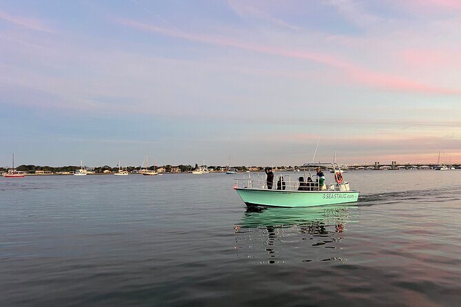 Dolphin and Nature Boat Excursion - Itinerary Breakdown: What to Expect